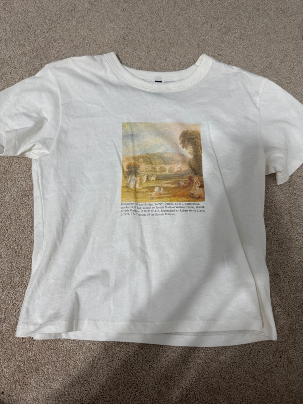 H&M White T-Shirt with Pastel Landscape Print based on The British Museum